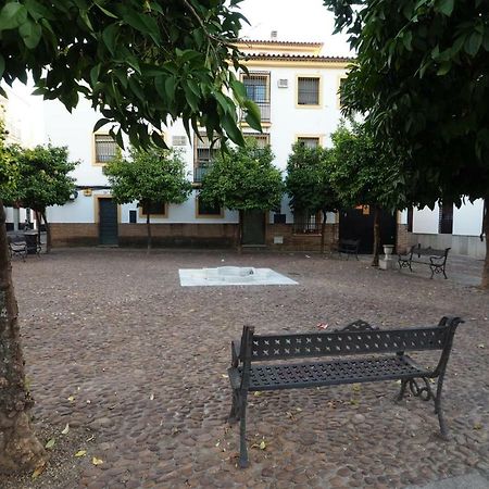 Calle Abejar,Plaza Кордова Экстерьер фото